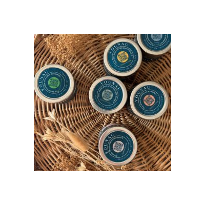 Houmous de carottes pour l'apéritif avec gressin Younau